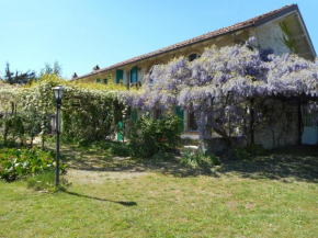 Отель Agriturismo Cascina Serra  Коссано Белбо